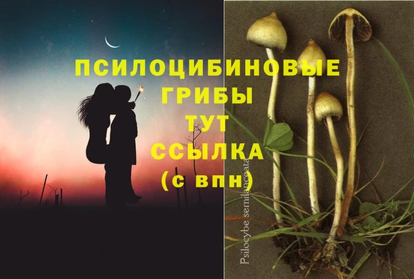 прущая мука Красноперекопск