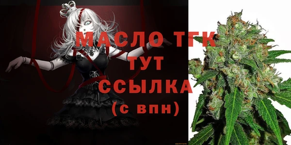 гашик Краснослободск
