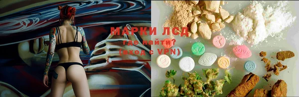 spice Корсаков