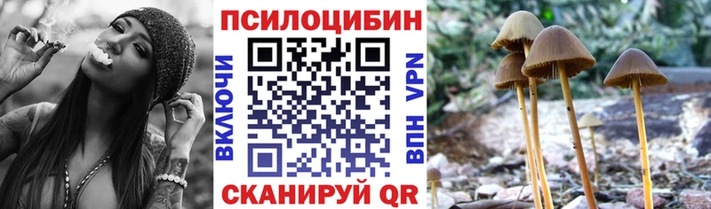 Купить закладки  Туймазы  Псилоцибиновые грибы Cubensis 